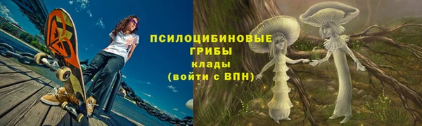 гидра Баксан