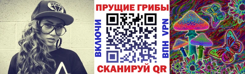 продажа наркотиков  Ногинск  Галлюциногенные грибы Psilocybine cubensis 